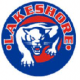 Lakeshore Panthers Midget AA